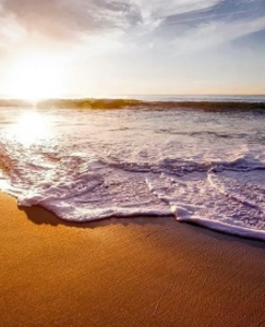 Alibag Nagaon Murud Janjira Tour Package - Prawas Travels Pune