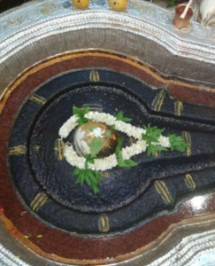 Bhimashankar 1 Day Tour Package - Prawas Travels Pune