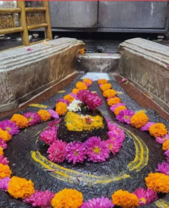 Bhimashankar 1 Day Tour Package - Prawas Travels Pune