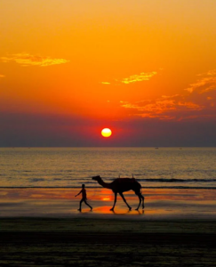 Diveagar Dapoli Kelshi Konkan Tour Package - Prawas Travels Pune