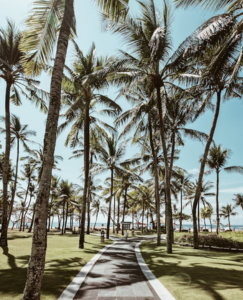 Diveagar Dapoli Kelshi Konkan Tour Package - Prawas Travels Pune